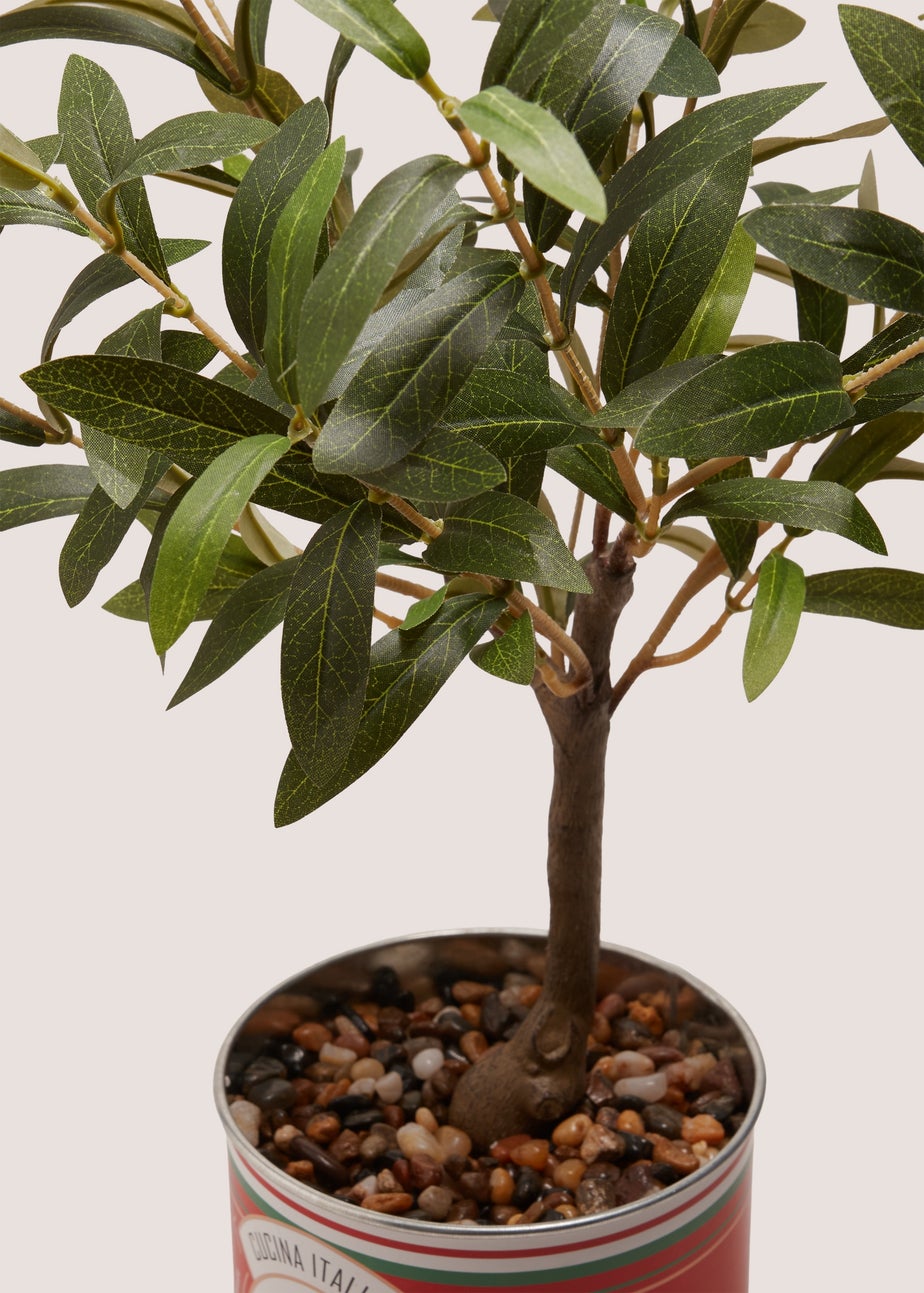 Sorrento Olive Tree In Tin