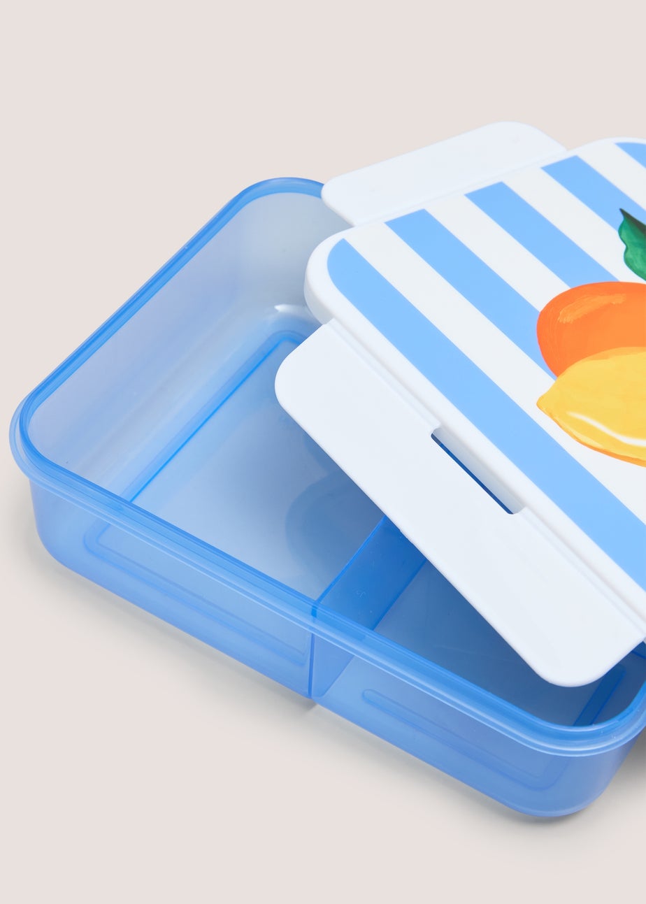 Sorrento Fruit Lunch Box