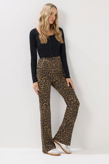 Long Tall Sally Brown Leopard Print Flared Leggings
