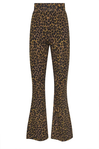 Long Tall Sally Brown Leopard Print Flared Leggings