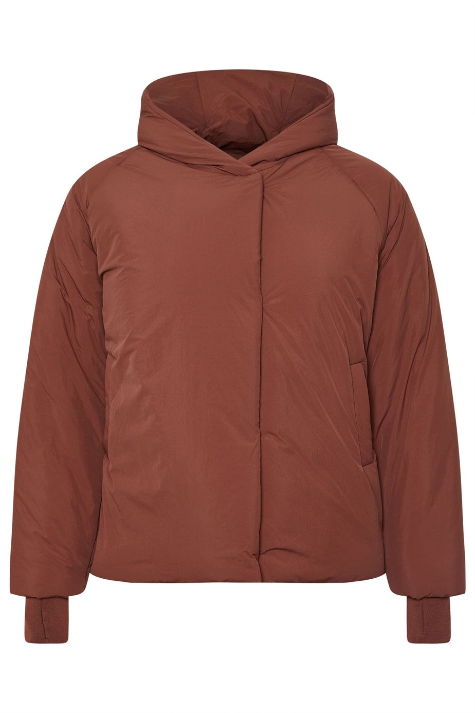 Yours Curve Brown Padded Coat