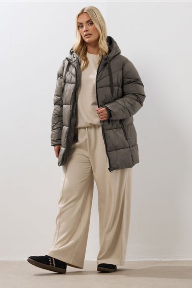 Yours Curve Brown Short Padded Coat