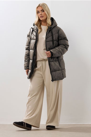 Yours Curve Brown Short Padded Coat