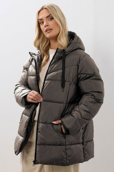 Yours Curve Brown Short Padded Coat