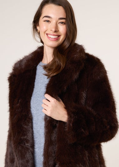 Blue Vanilla Brown Long Fluffy Coat