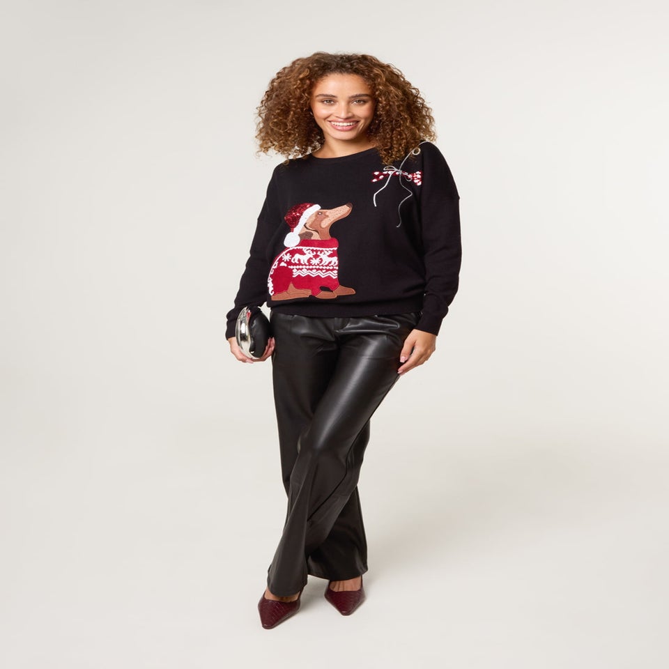 Blue Vanilla Black Christmas Dog Jumper