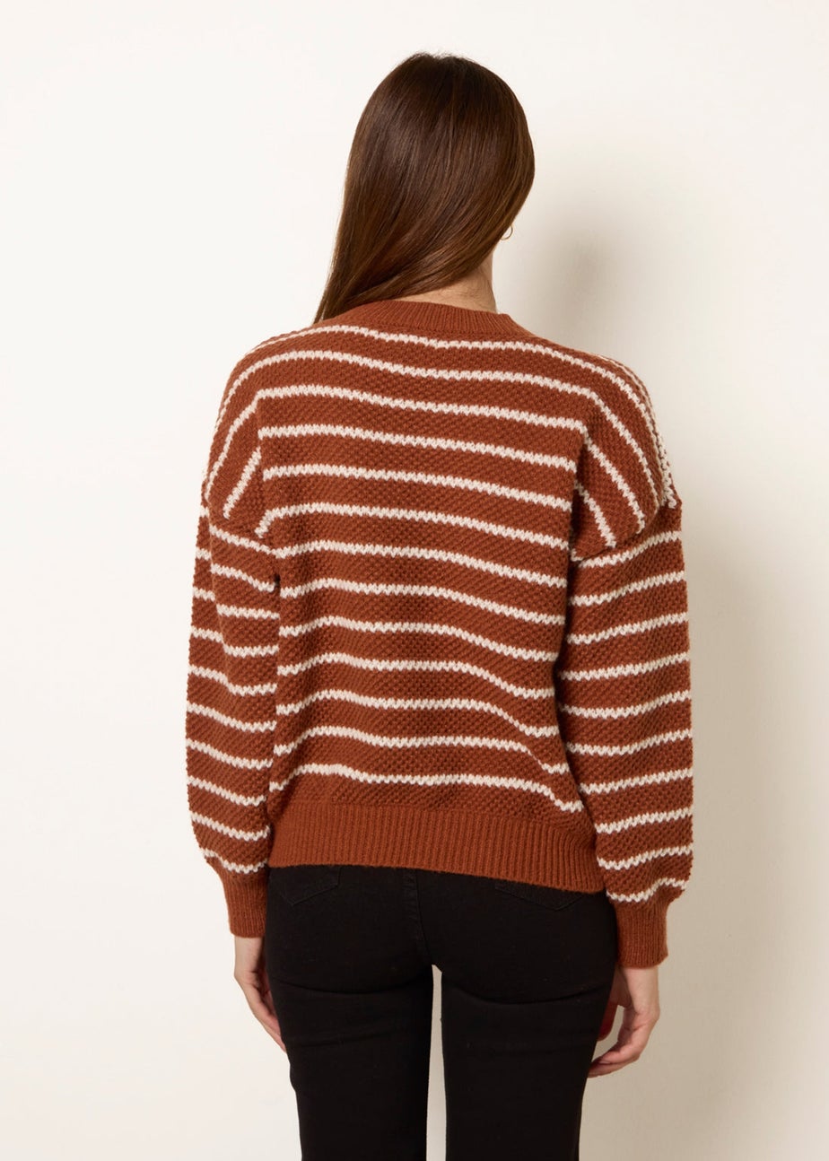Blue Vanilla Brown Textured Stripe Jumper