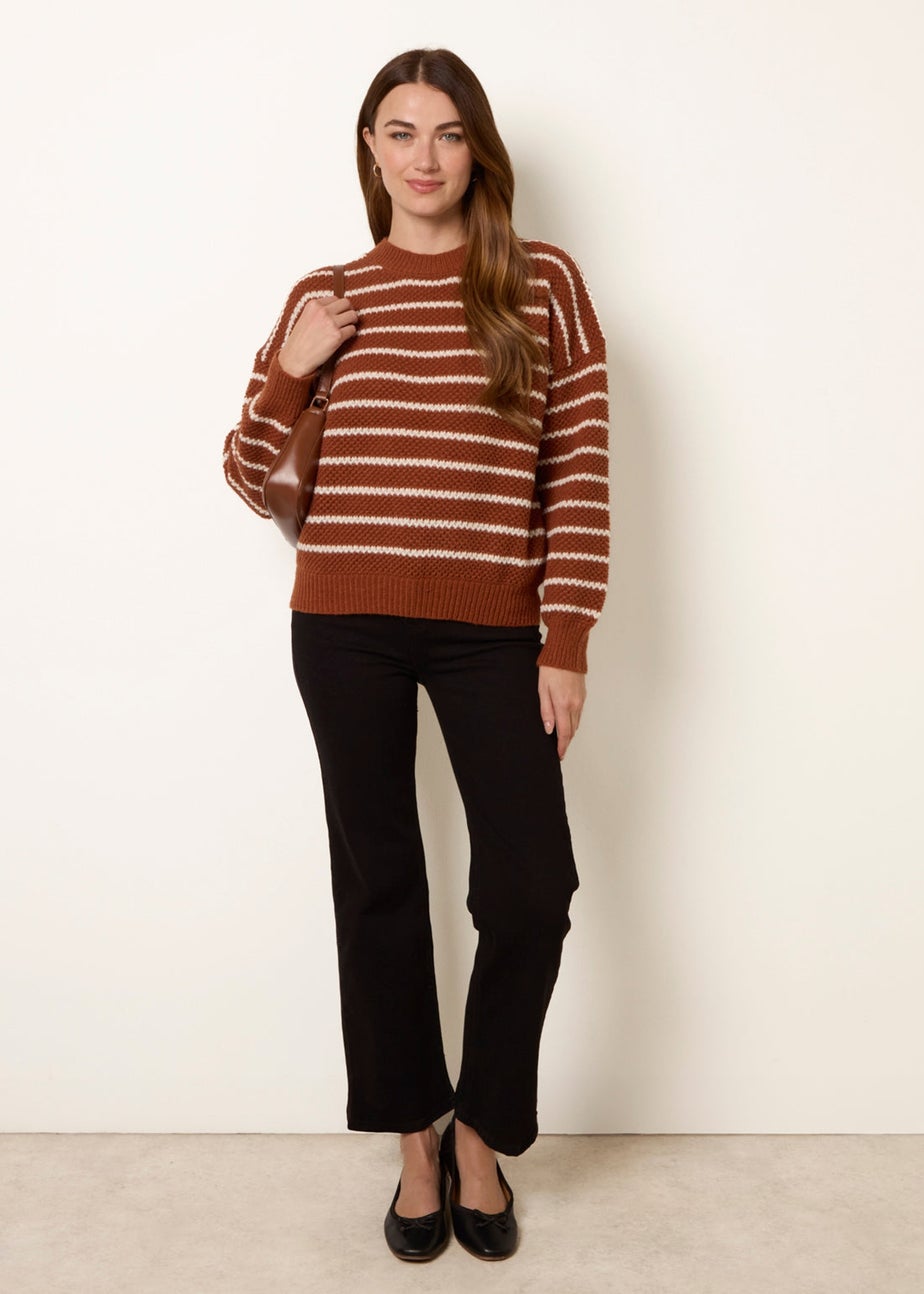 Blue Vanilla Brown Textured Stripe Jumper