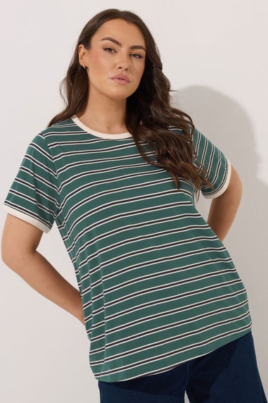 Yours Curve Green Stripe Ringer T-Shirt