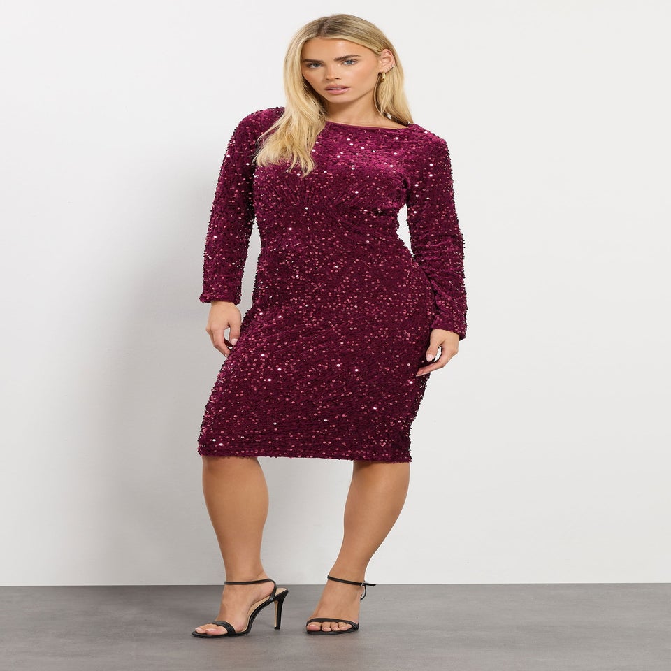 M&Co Petite Red Sequin Gathered Velvet Dress