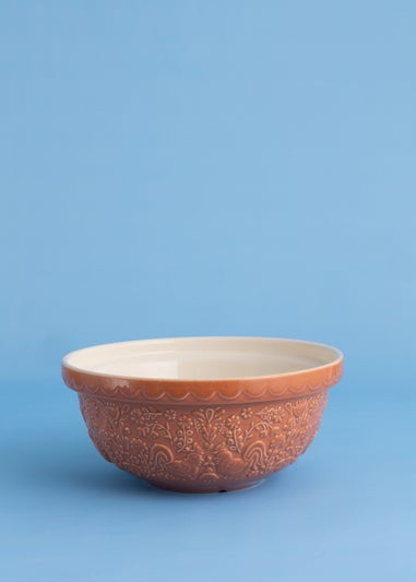 HOME TO ROOST S24 MIXING BOWL 24CM