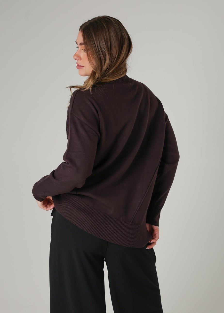 French Connection Brown Cosy Soft Touch High Neck Seam Jumper