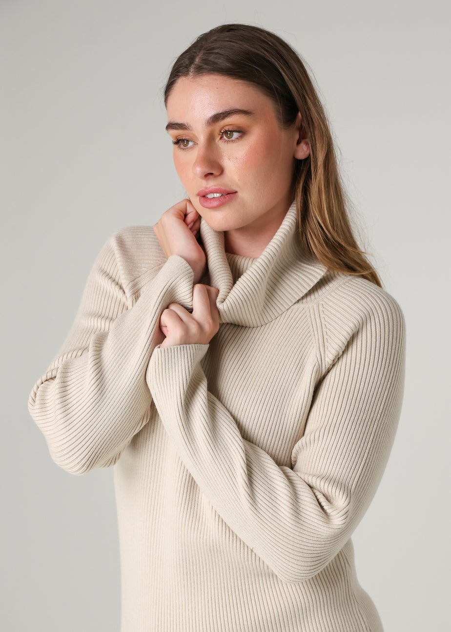 French Connection Beige Cosy Ribbed Cowl Neck Long Sleeve Mini Dress
