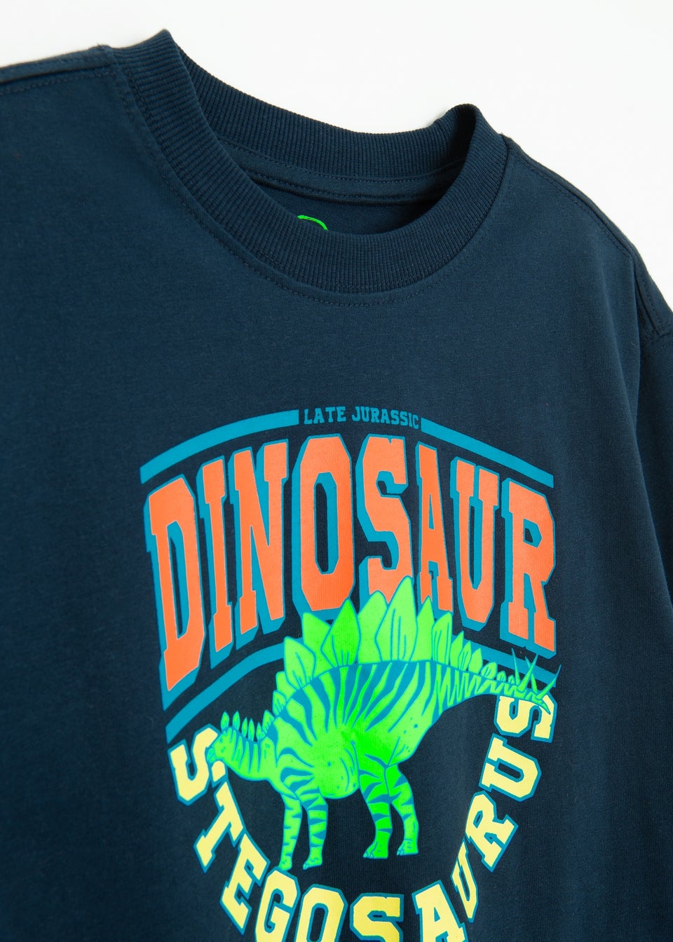 Cool Club Navy Stegosaurus Printed Sweatshirt (3-8 yrs)