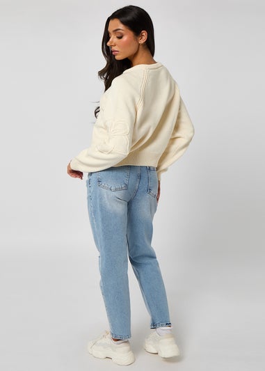 Urban Bliss Crochet Embroidery Raglan Jumper