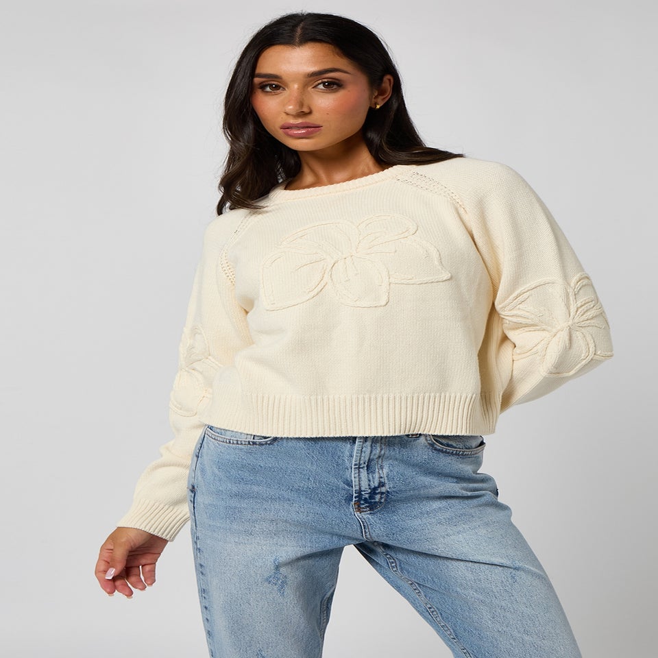 Urban Bliss Crochet Embroidery Raglan Jumper