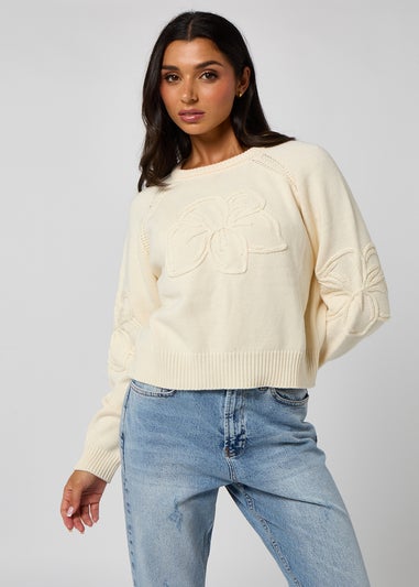 Urban Bliss Crochet Embroidery Raglan Jumper