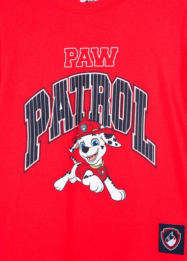 Paw Patrol Dog Kids Long Sleeve Skater Top (3-6 Years)