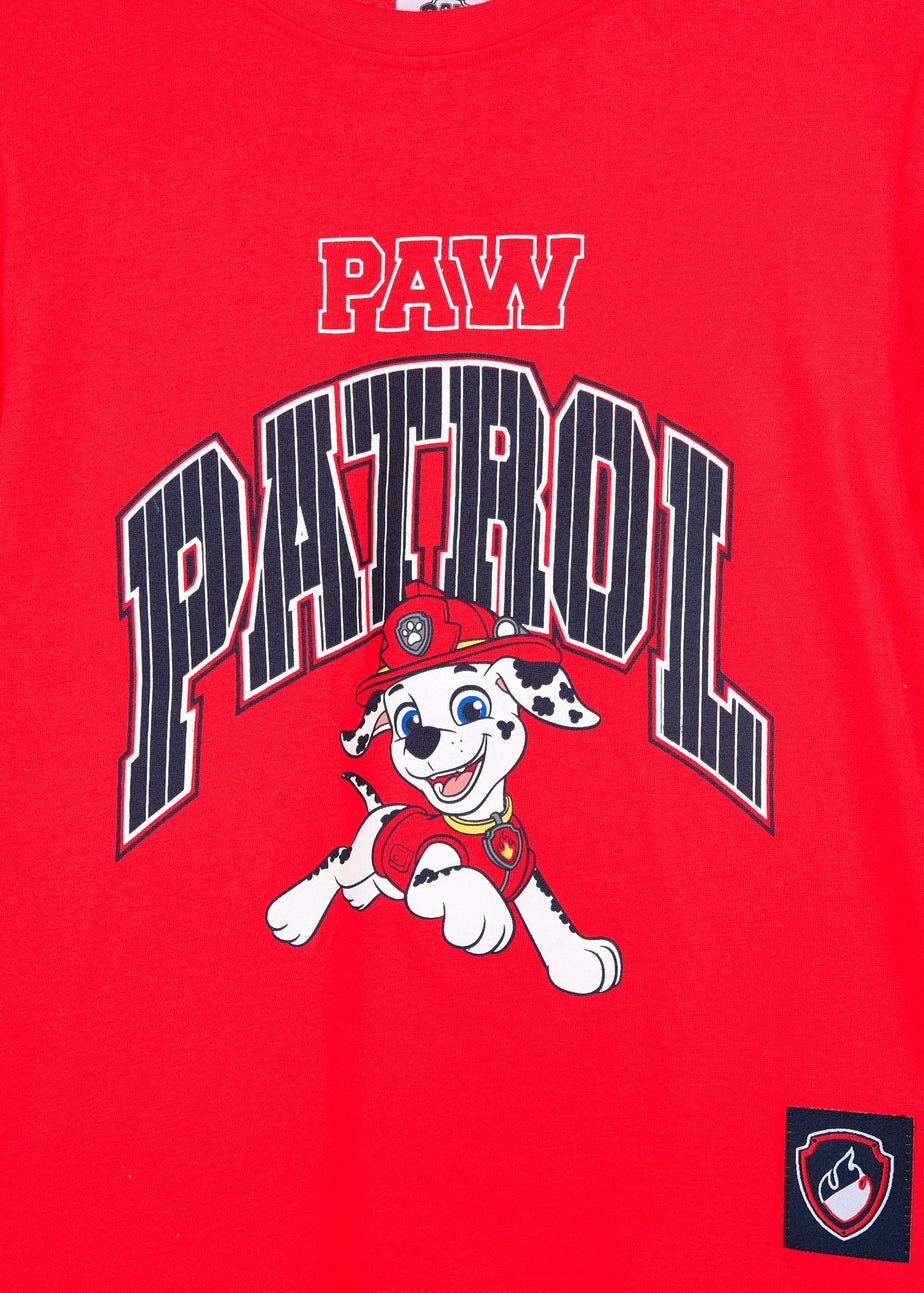 Paw Patrol Dog Kids Long Sleeve Skater Top (3-6 Years)