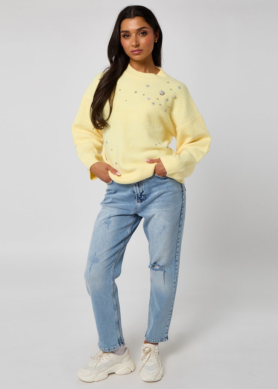 Urban Bliss Embellished Embroidery Jumper