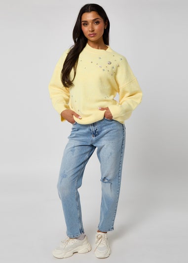 Urban Bliss Embellished Embroidery Jumper