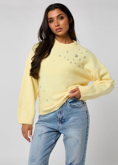 Urban Bliss Embellished Embroidery Jumper