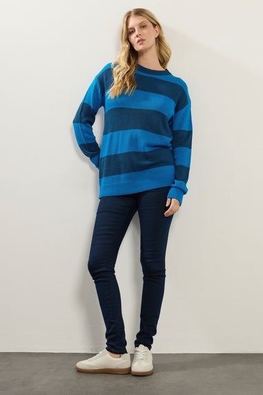 Long Tall Sally Blue Knitted Stripe Crew Neck Jumper