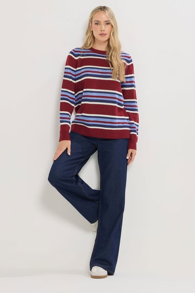 Long Tall Sally Red Knitted Stripe Jumper