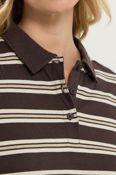 Long Tall Sally Chocolate Brown Striped Jersey Polo Top