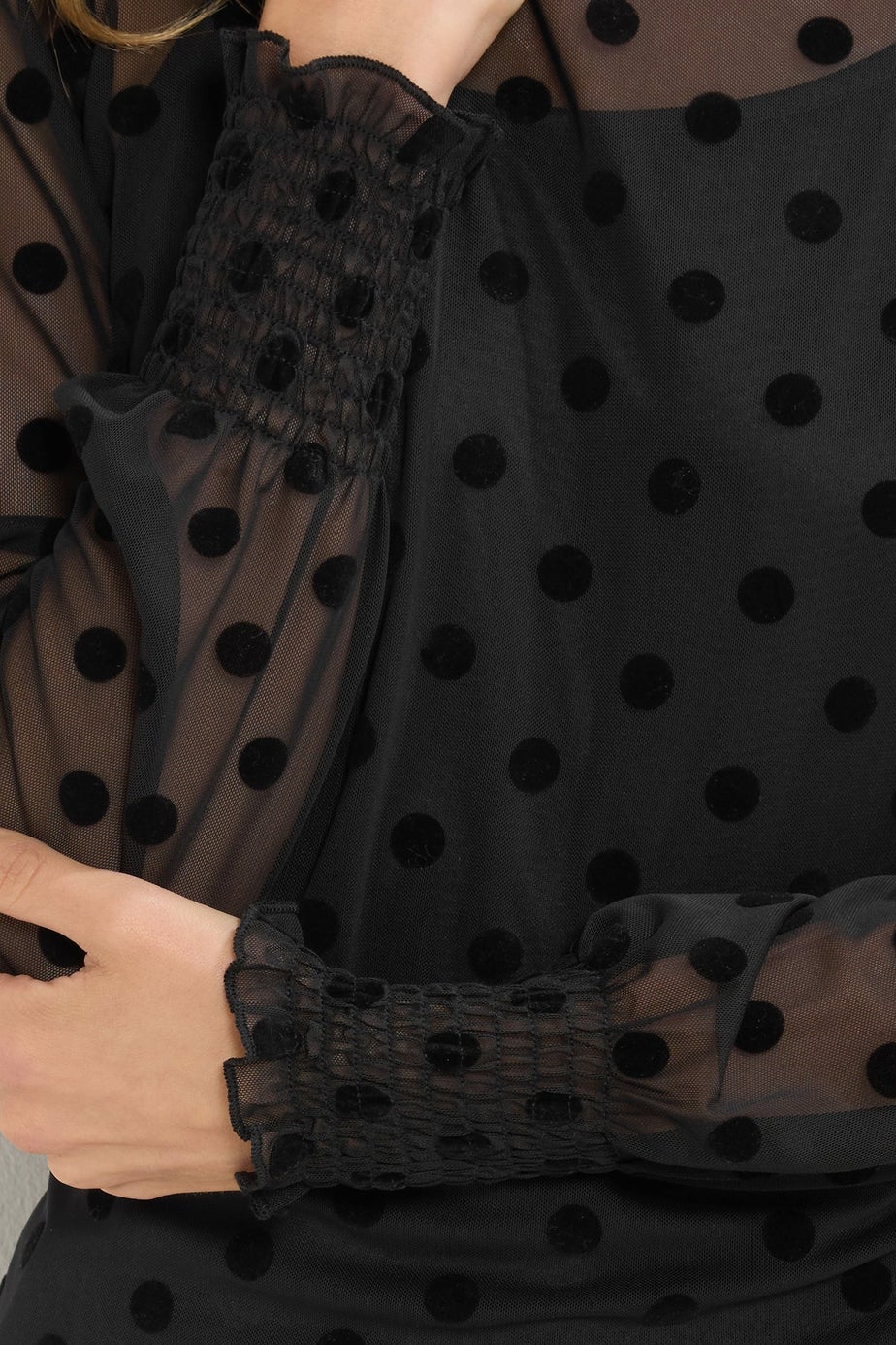 Long Tall Sally Black Burnout Spot Mesh Blouse