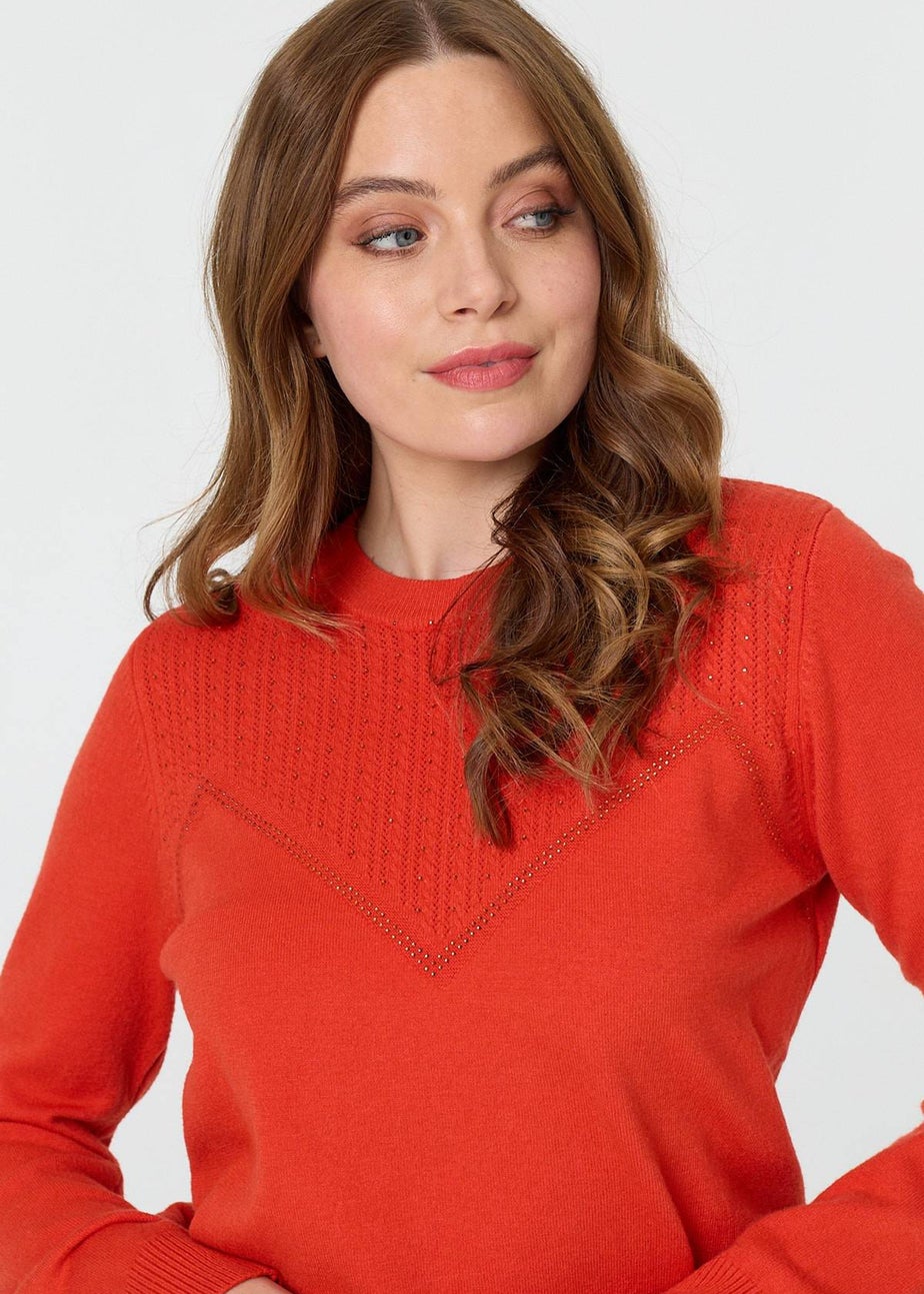 Izabel London Orange Textured Knit Slim Fit Jumper