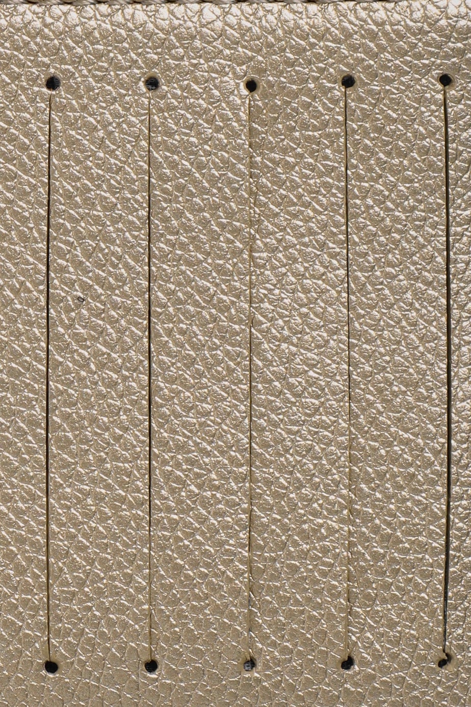 Weird Fish Gold Apulia Coin Purse