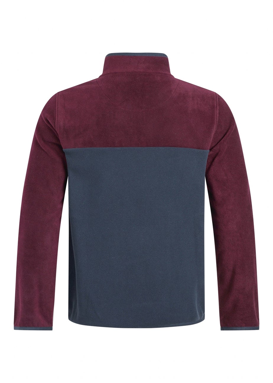 Weird Fish Aubergine Tristan 1/4 Zip Colour Block Microfleece
