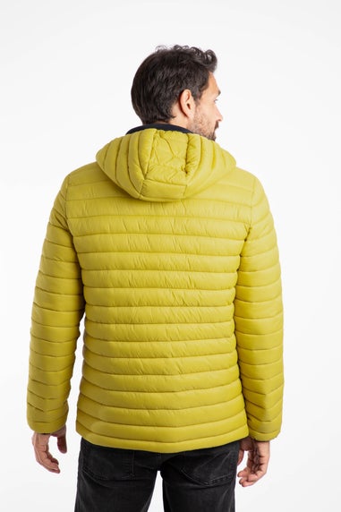 Weird Fish Antique Moss Flete Lightweight Showerproof Padded Jacket