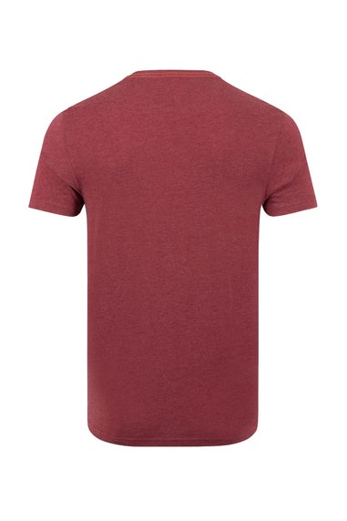 Weird Fish Garnet Wave Stripe Front Print Graphic T-Shirt