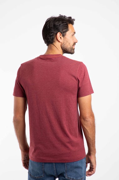 Weird Fish Garnet Wave Stripe Front Print Graphic T-Shirt