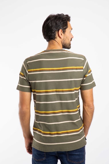 Weird Fish Deep Lichen Green Herne Striped T-Shirt