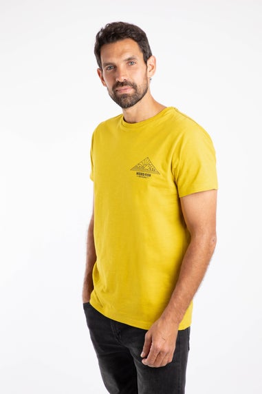 Weird Fish Antique Moss Pyramid View Back Print Graphic T-Shirt