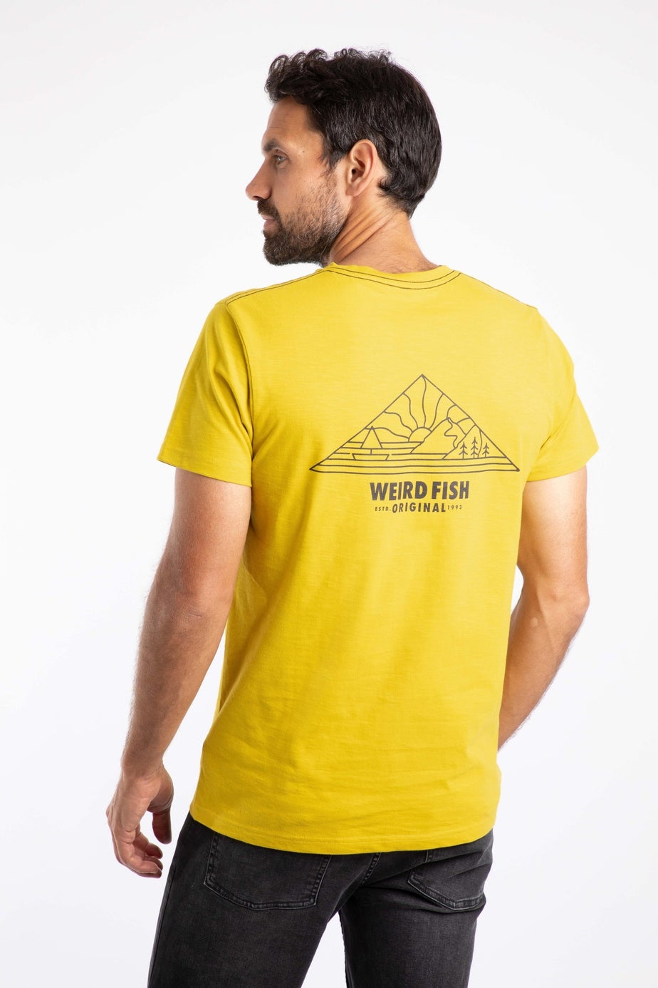 Weird Fish Antique Moss Pyramid View Back Print Graphic T-Shirt