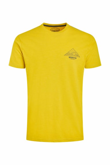 Weird Fish Antique Moss Pyramid View Back Print Graphic T-Shirt