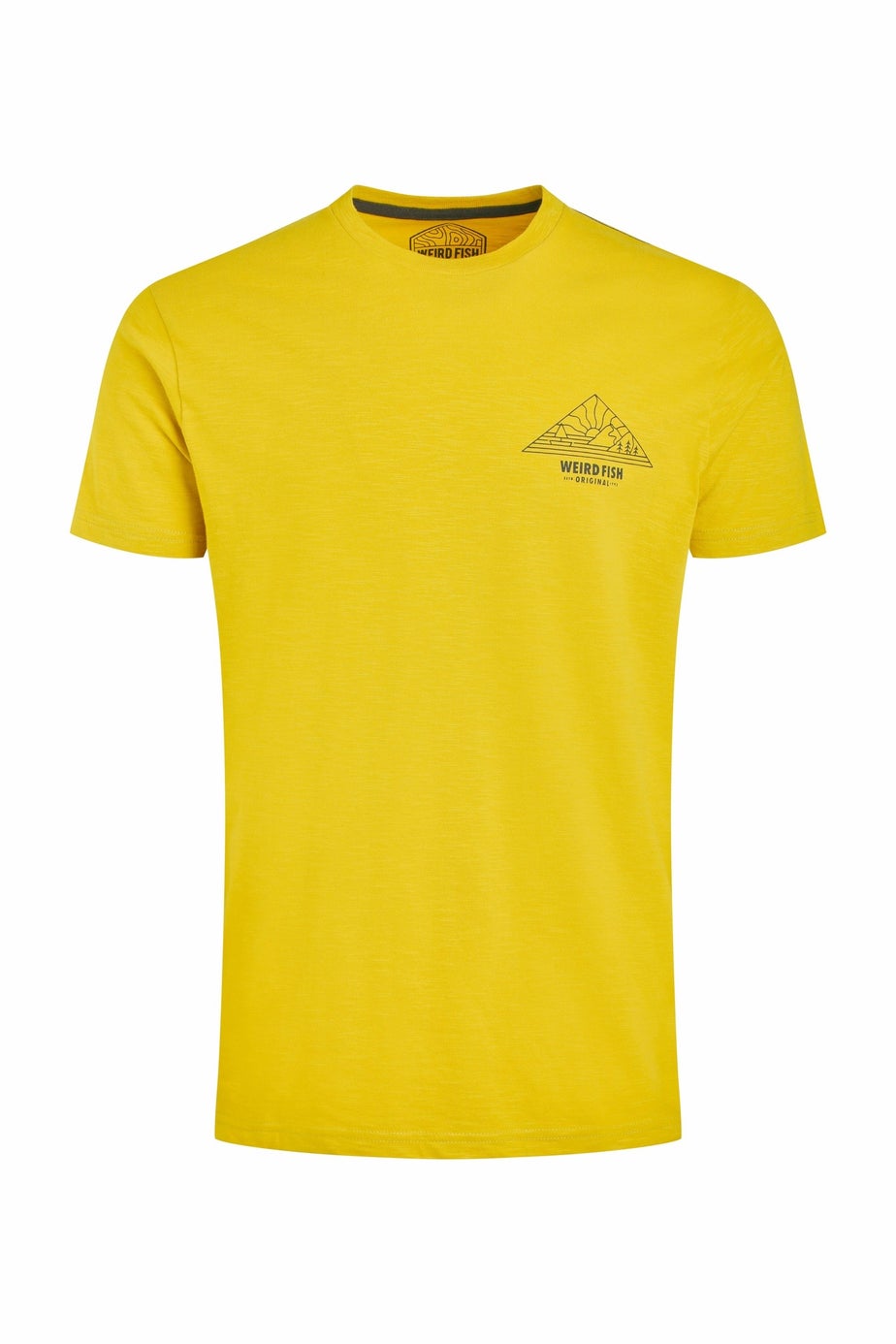 Weird Fish Antique Moss Pyramid View Back Print Graphic T-Shirt