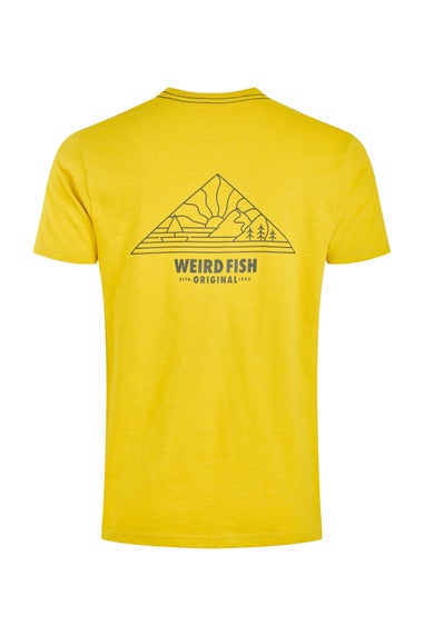 Weird Fish Antique Moss Pyramid View Back Print Graphic T-Shirt