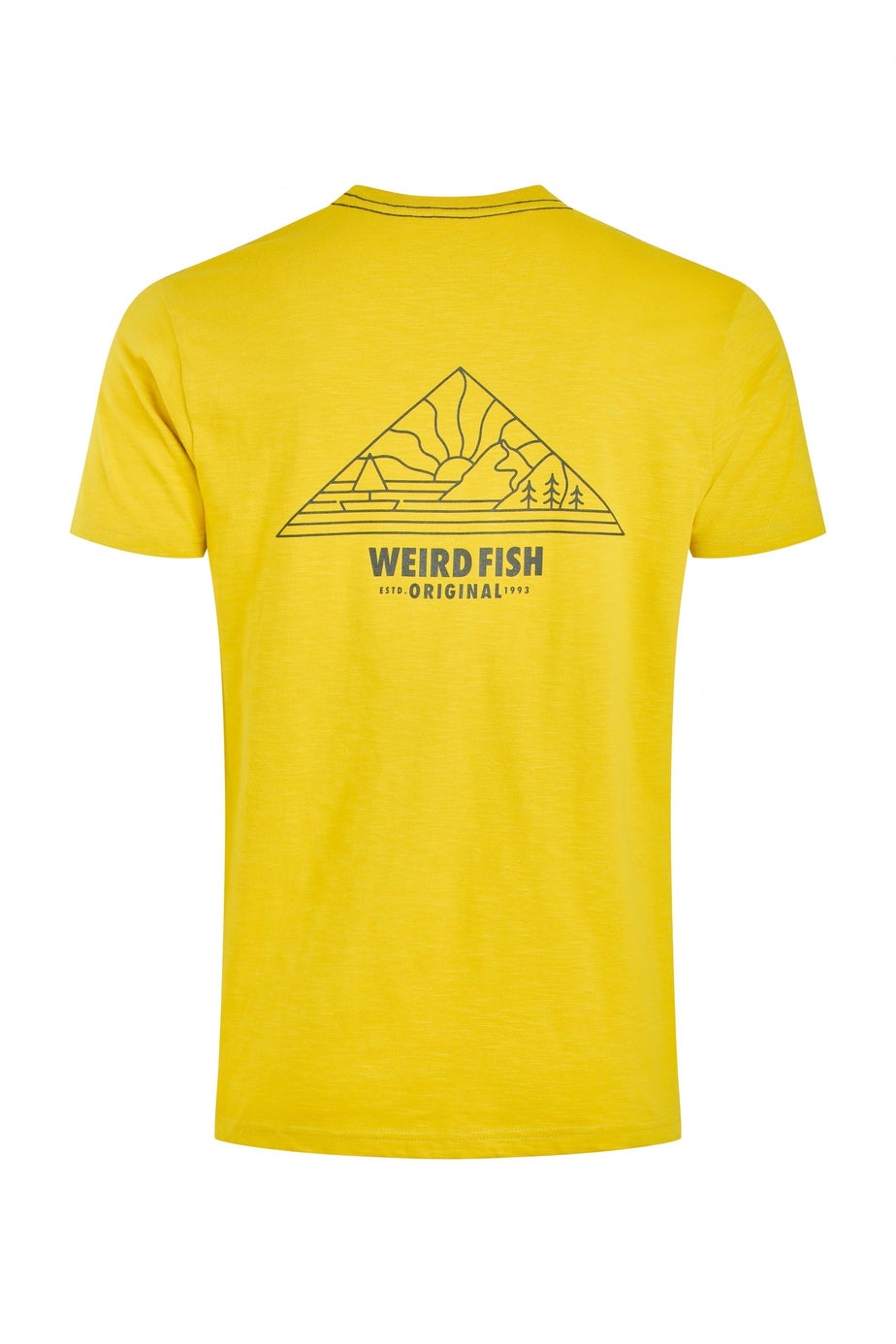 Weird Fish Antique Moss Pyramid View Back Print Graphic T-Shirt
