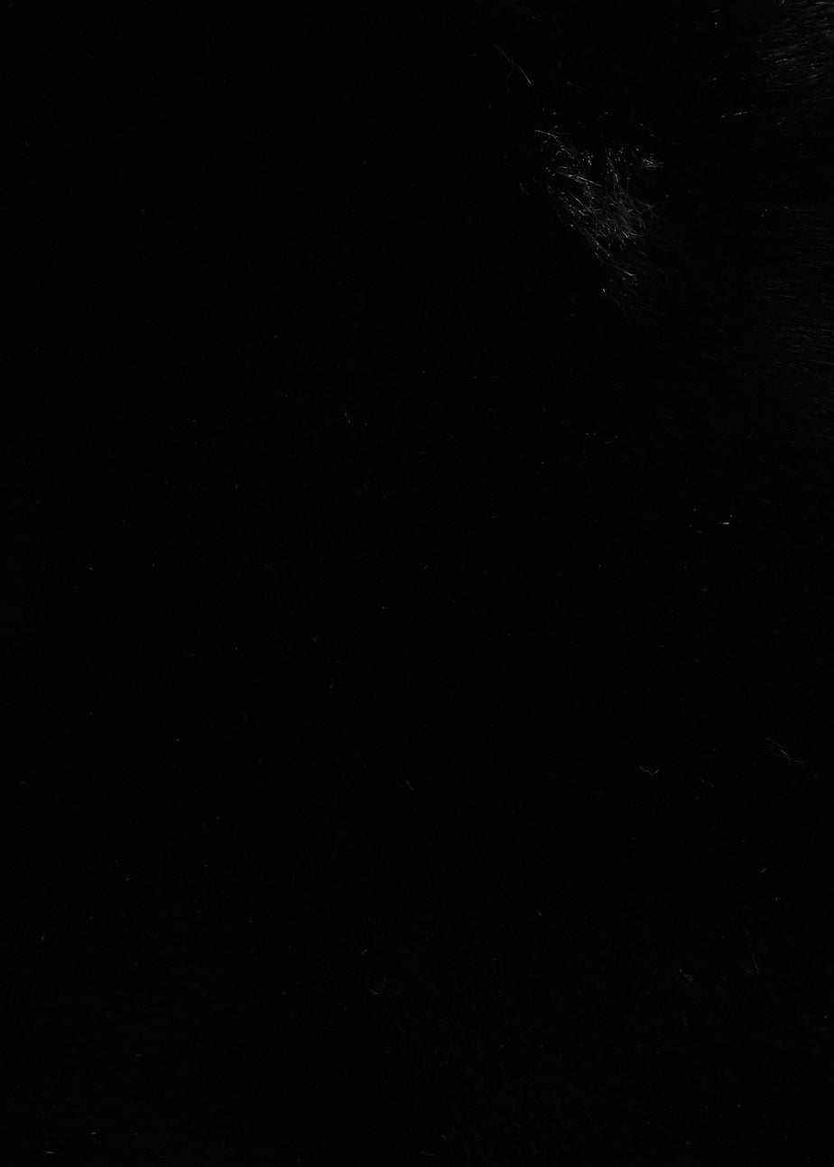 Quiz Black Bow Detail Faux Fur Wrap