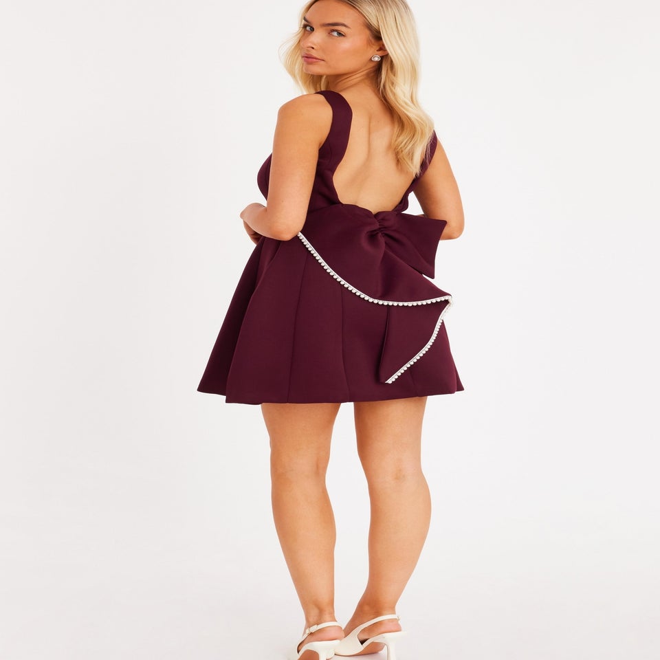 Quiz Burgundy A-Line Bow Mini Dress
