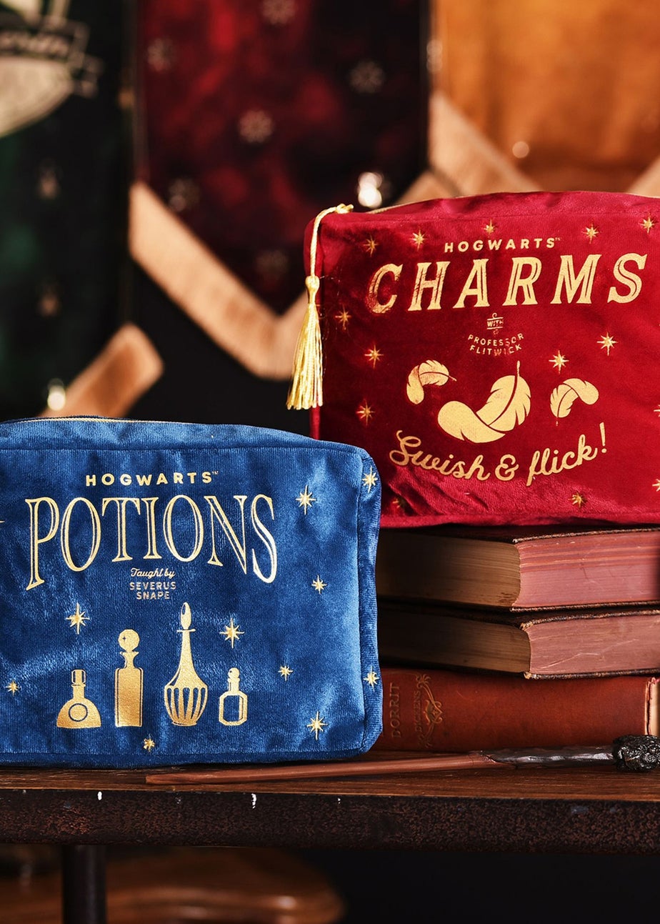 Harry Potter Warner Bros Alumni Blue Wash Bag Potions