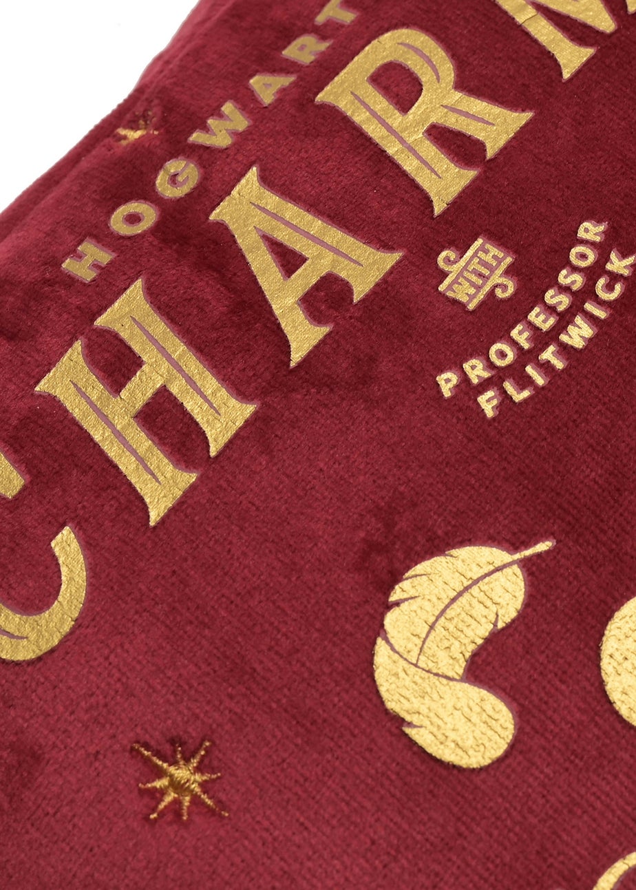 Harry Potter Warner Bros Alumni Red Wash Bag Charms