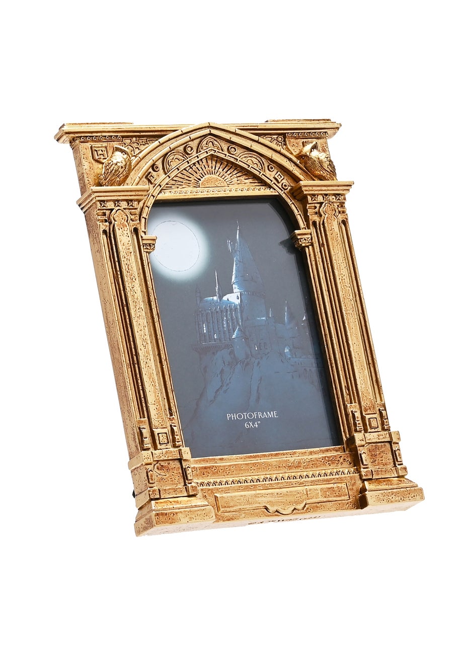 Harry Potter Warner Bros Alumni Gold Photo Frame Hogwarts