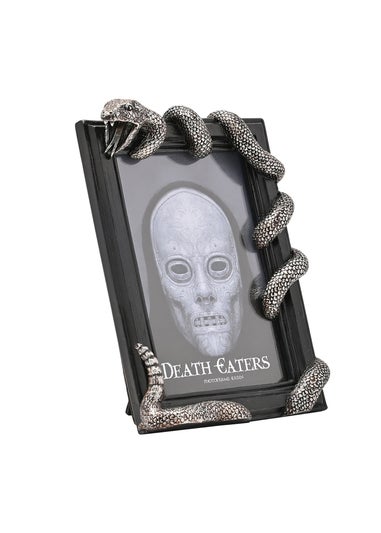 Harry Potter Warner Bros Dark Arts Black Frame Nagini