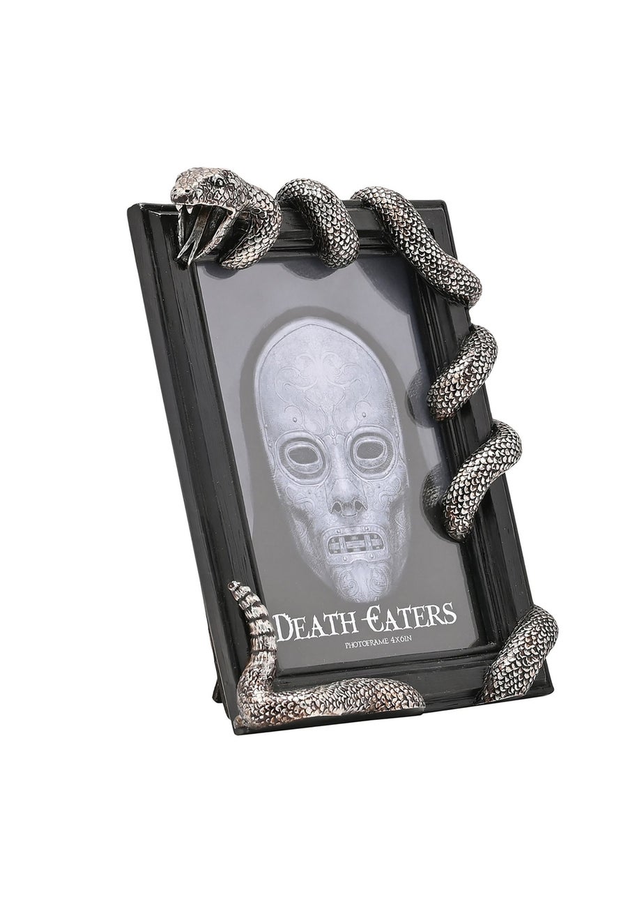 Harry Potter Warner Bros Dark Arts Black Frame Nagini